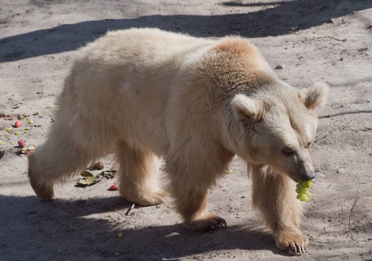 Coronavirus - Stralsund Zoo