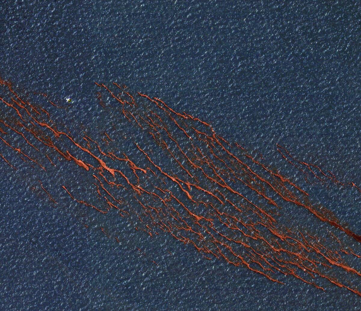 Deepwater Horizon Oil Slick