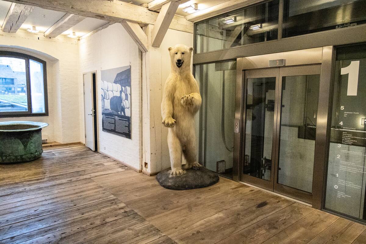 Denmark's Links To Greenland Under Scrutiny After Trump Appoints Jeff Landry As Special Envoy