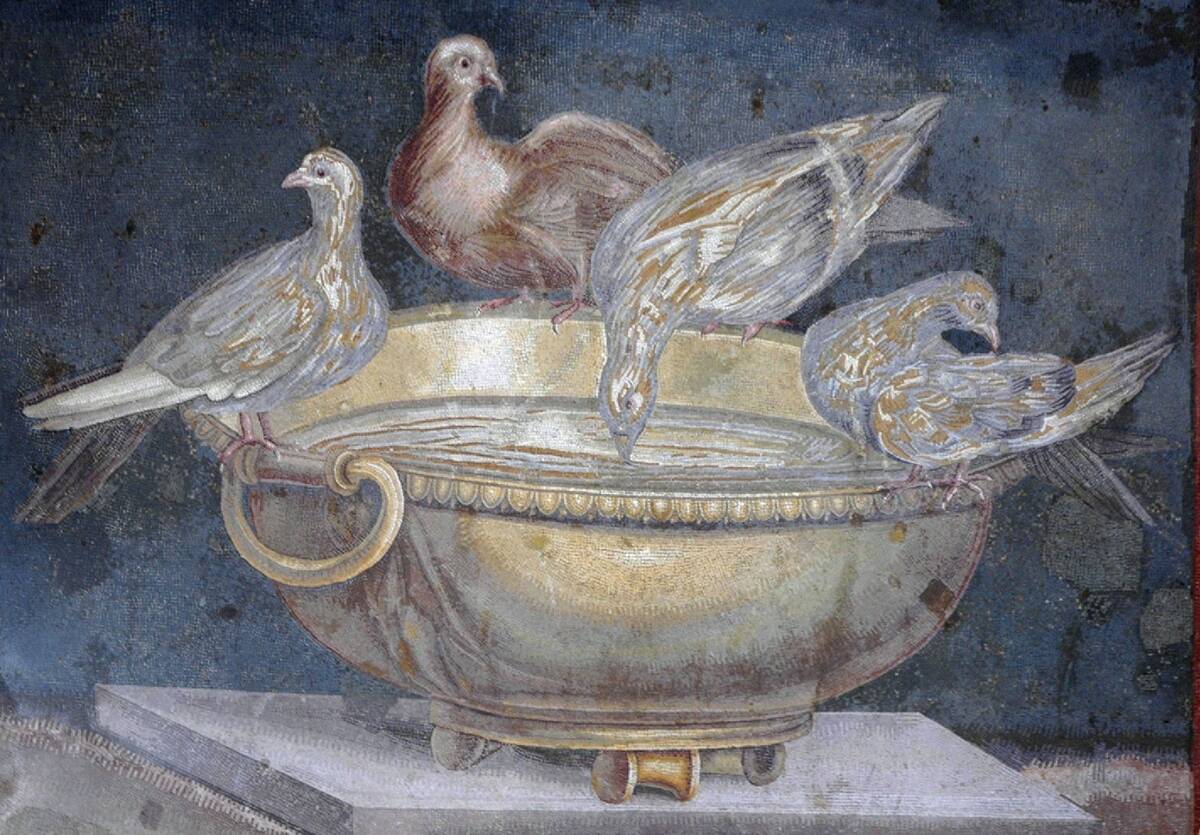 Doves on a drinking bowl.