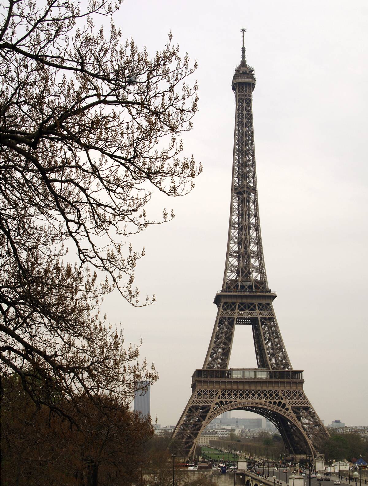 Eiffel Tower by Gustave Eiffel.
