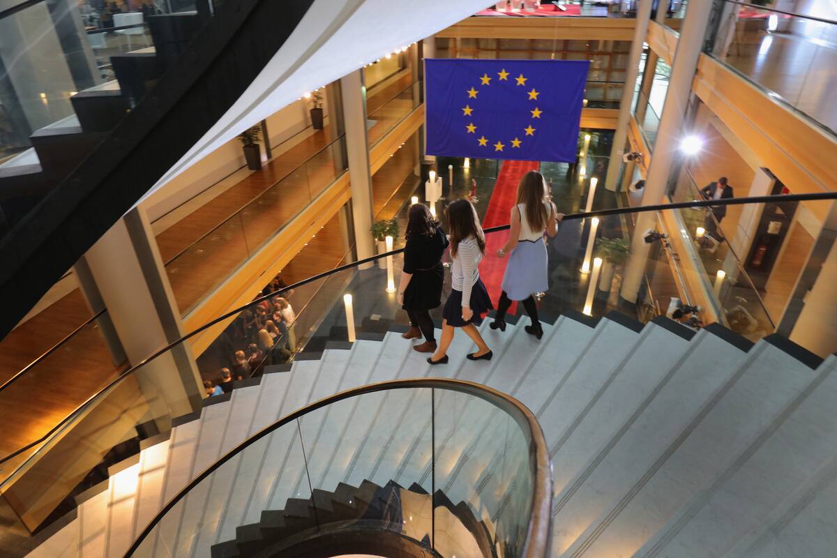 EU Referendum - Strasbourg The Seat Of The EU Parliament