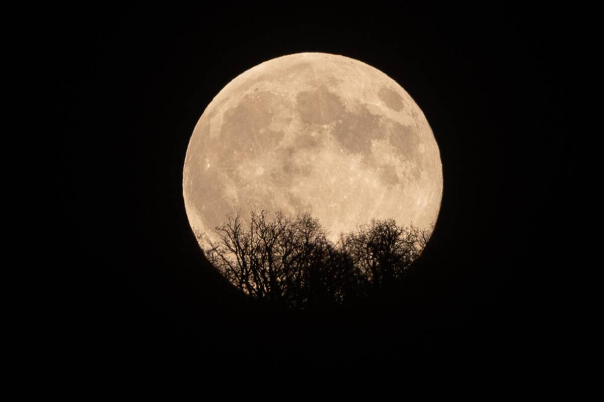Full Beaver Moon in Northern Hungary