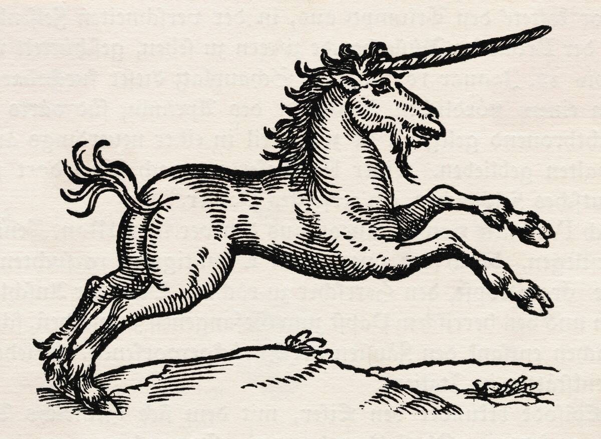 Illustration of a Unicorn