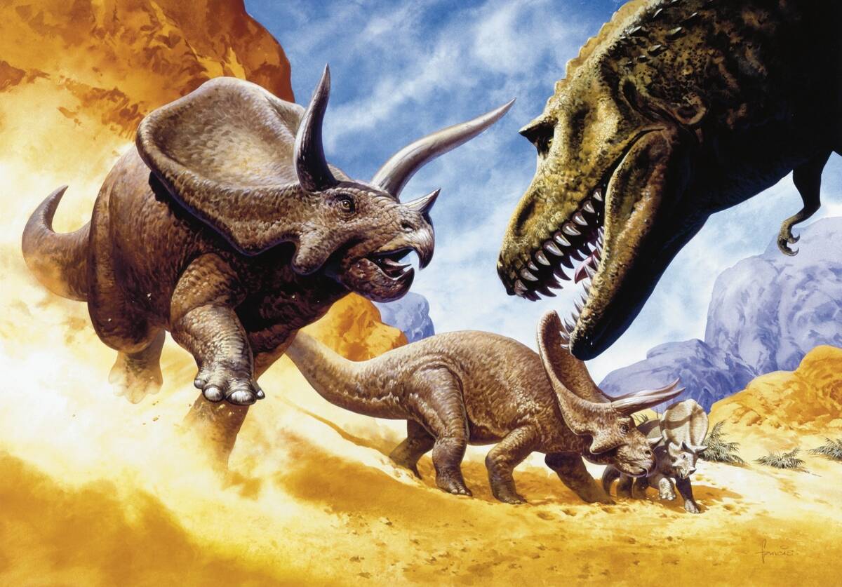 Illustration representing Torosaurus in prehistoric landscape