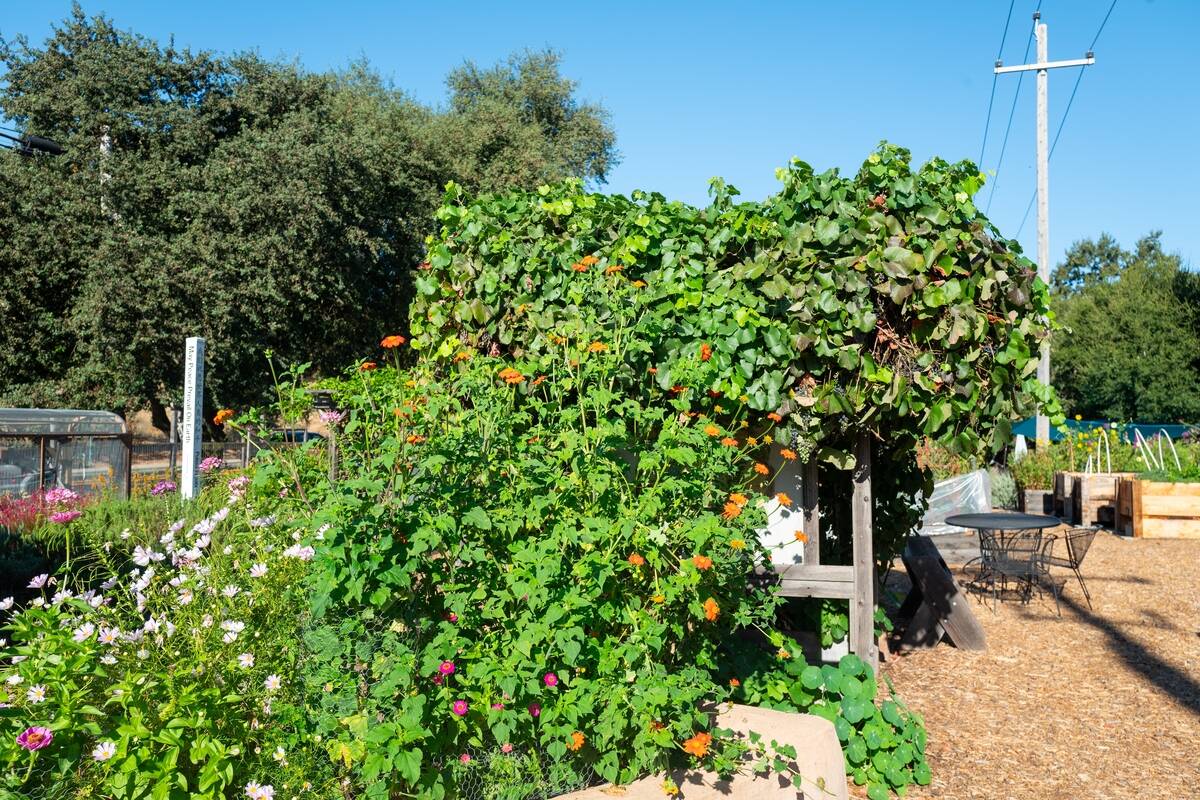 Lafayette Community Garden