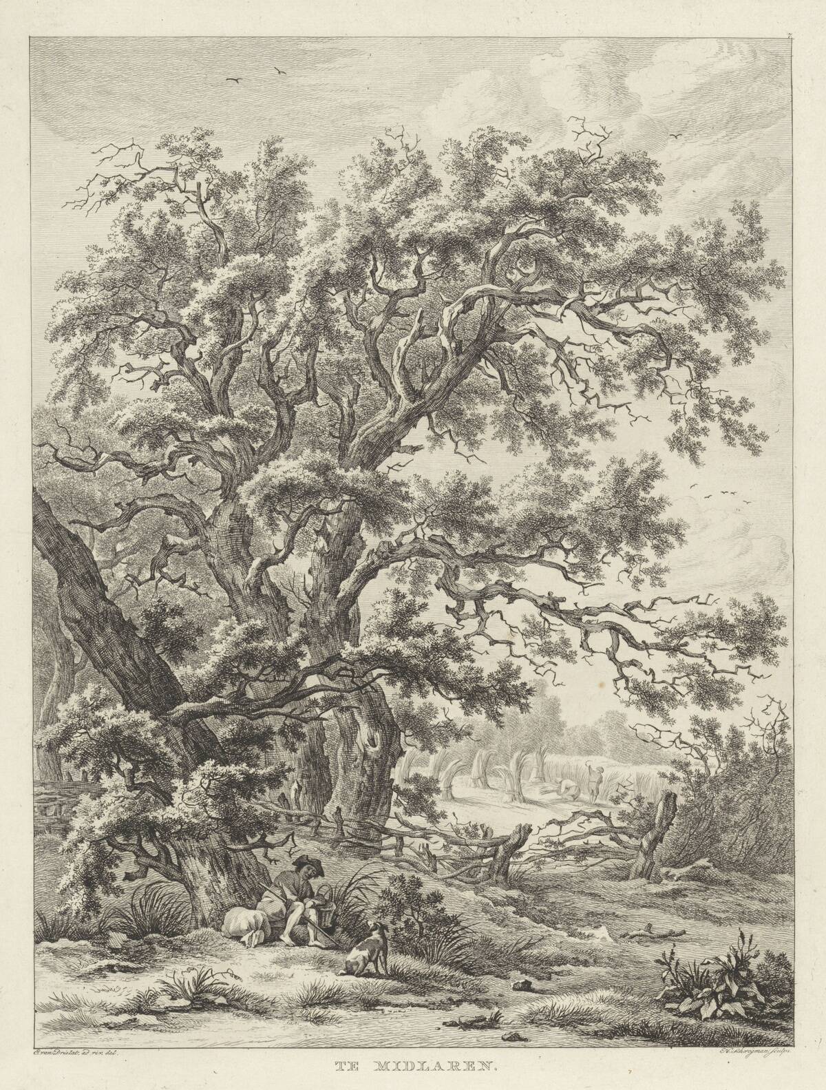 Landscape near Midlaren