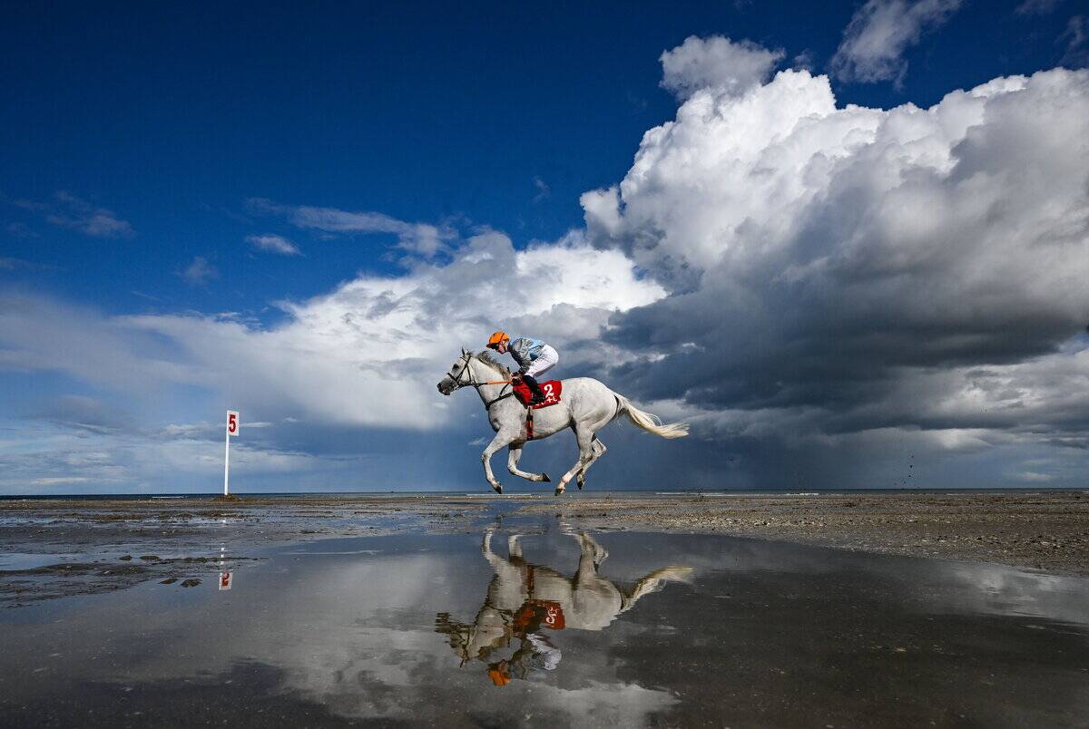 Laytown Races 2025