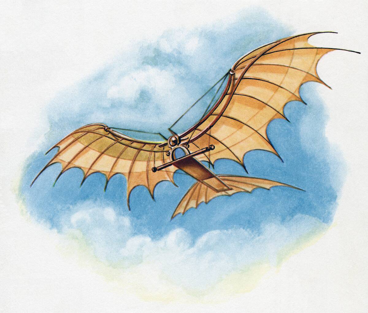 Leonardo's Flying Machine