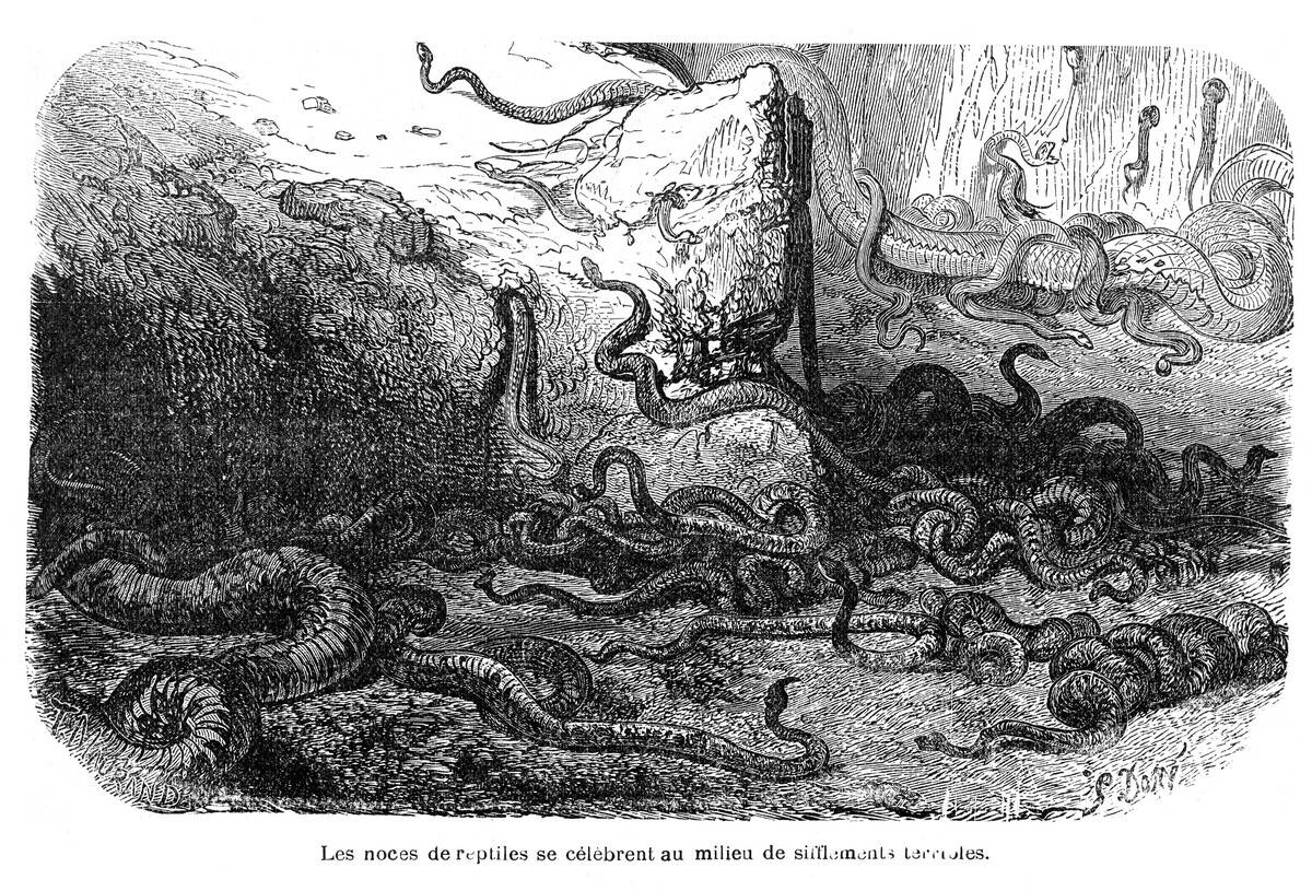 Les serpents', 19th century, Alexandre Dumas, Private collection.