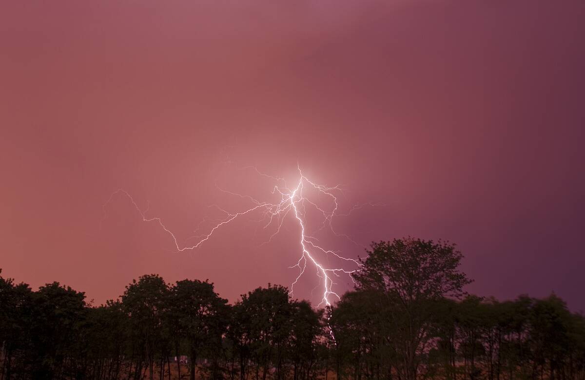 Lightning strike in a pink sky with silhouetted trees below