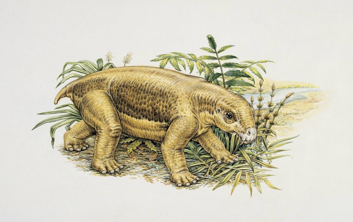 Lystrosaurus in a bush