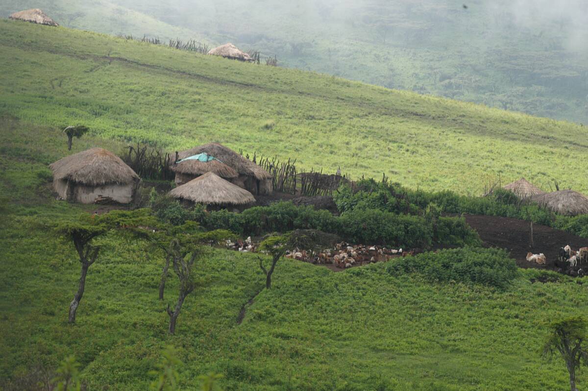 Maasai Village On Ngorongoro Crater