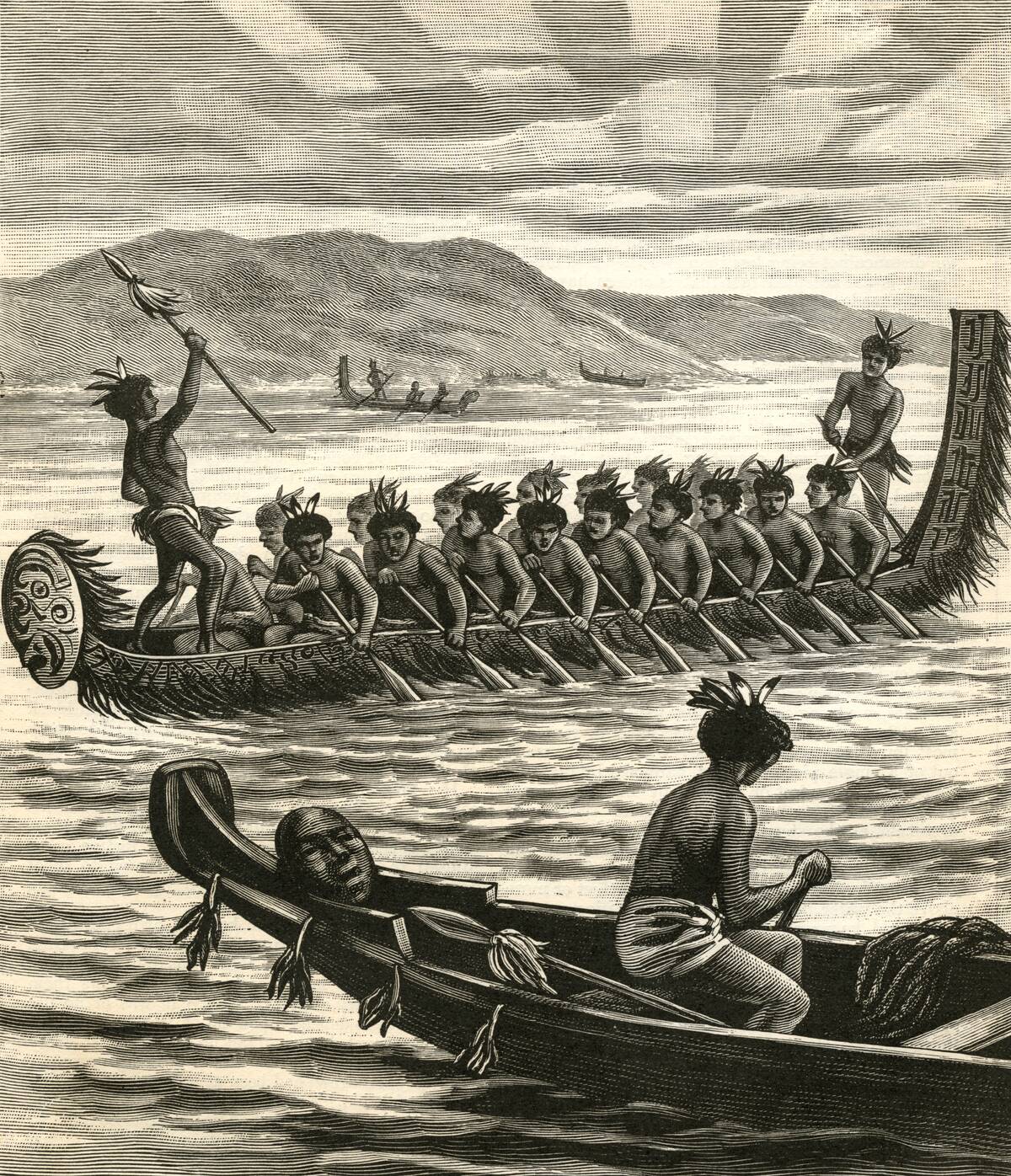 Maori Warriors In Canoes