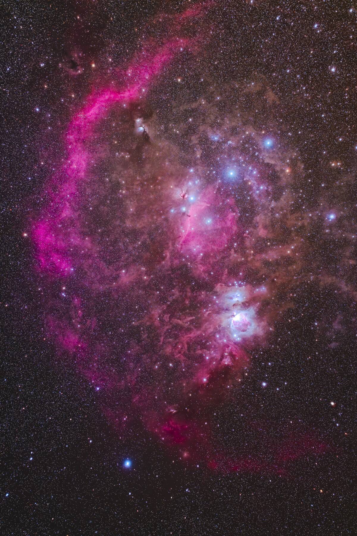 Nebulas and Dust Clouds of Orion