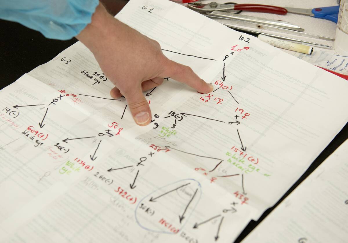 Orange County Register Archive