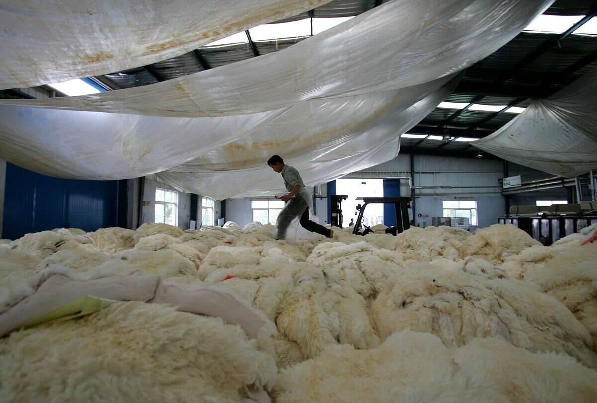 People Work At Longfeng Leather And Fur Factory
