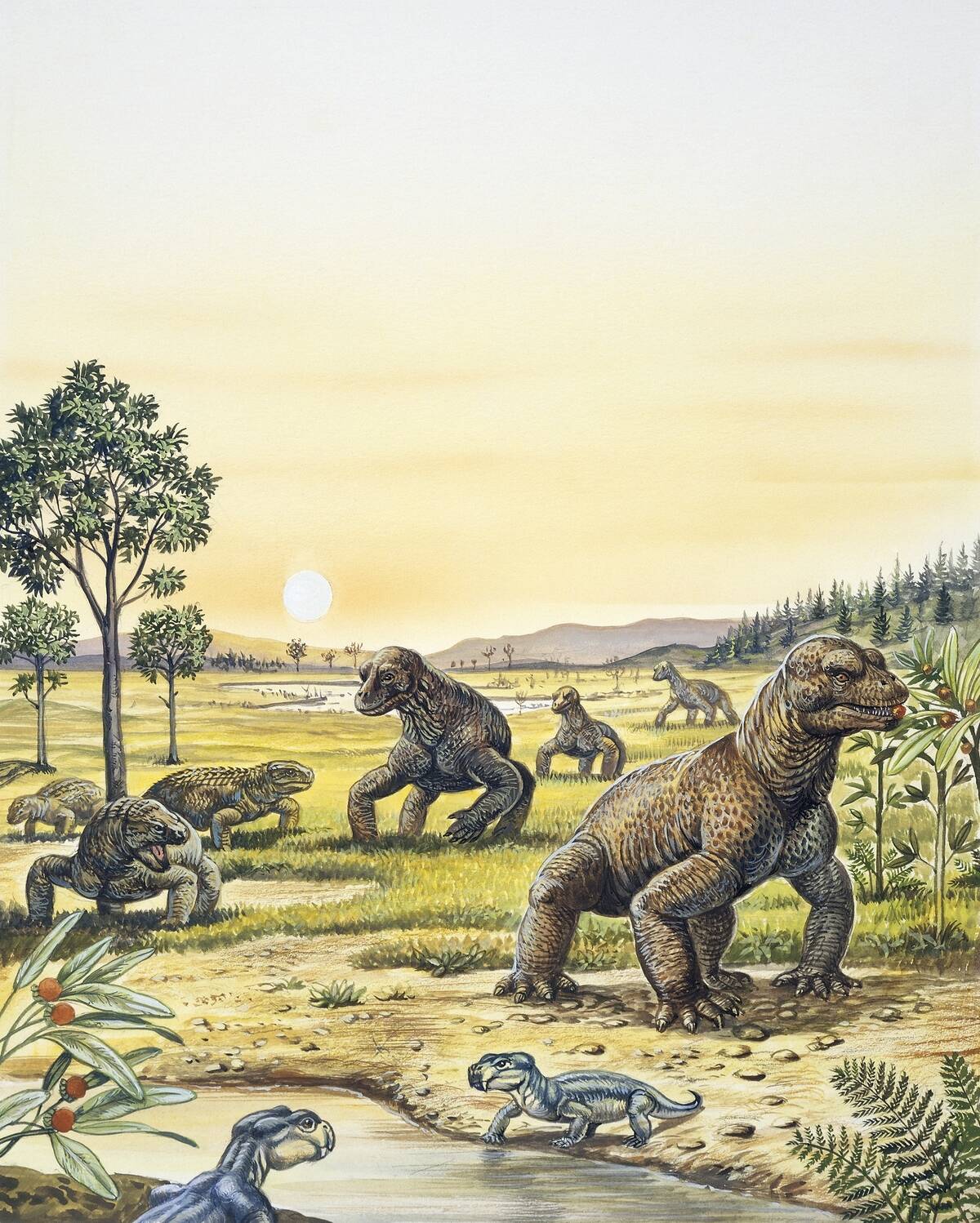 Reconstruction of the Permian Period