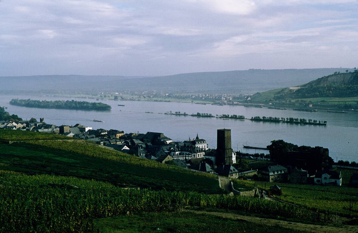 Rüdesheim Am Rhein