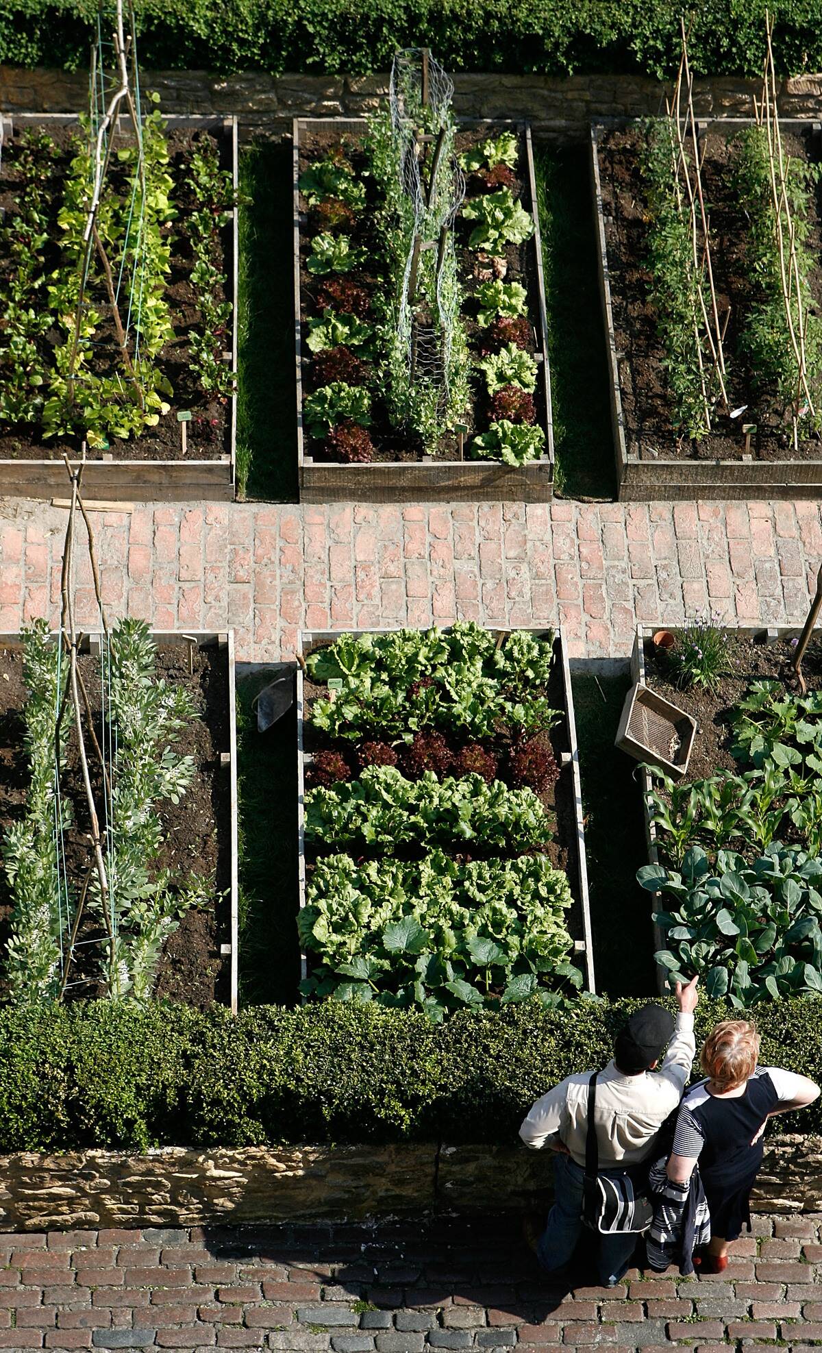 Spring Renaissance Celebration Brings Model Allotments