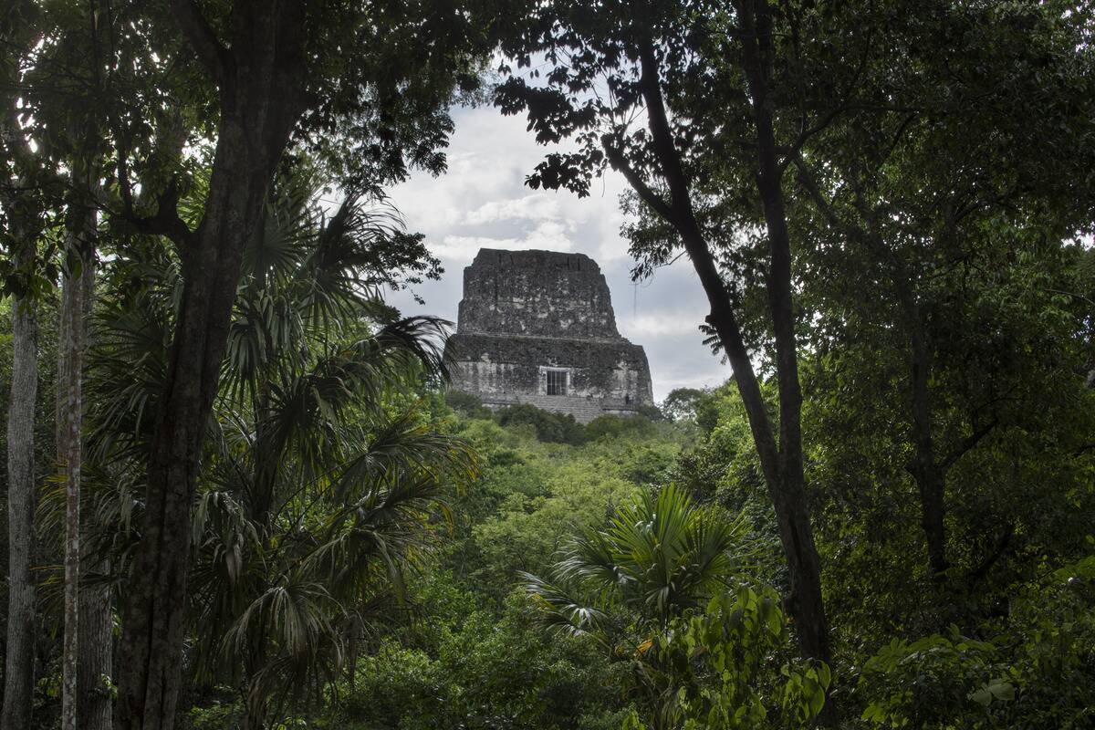 Temple IV, in the Mayan acheological site of Tikal is the tallest pre-Columbian structure still standing in the New World at 64