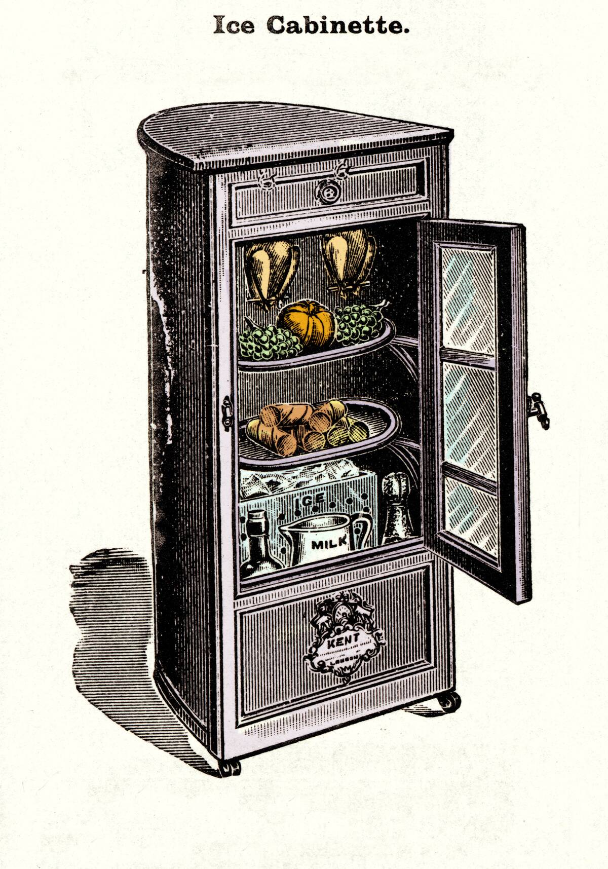 THE ANCESTOR OF THE FRIDGE