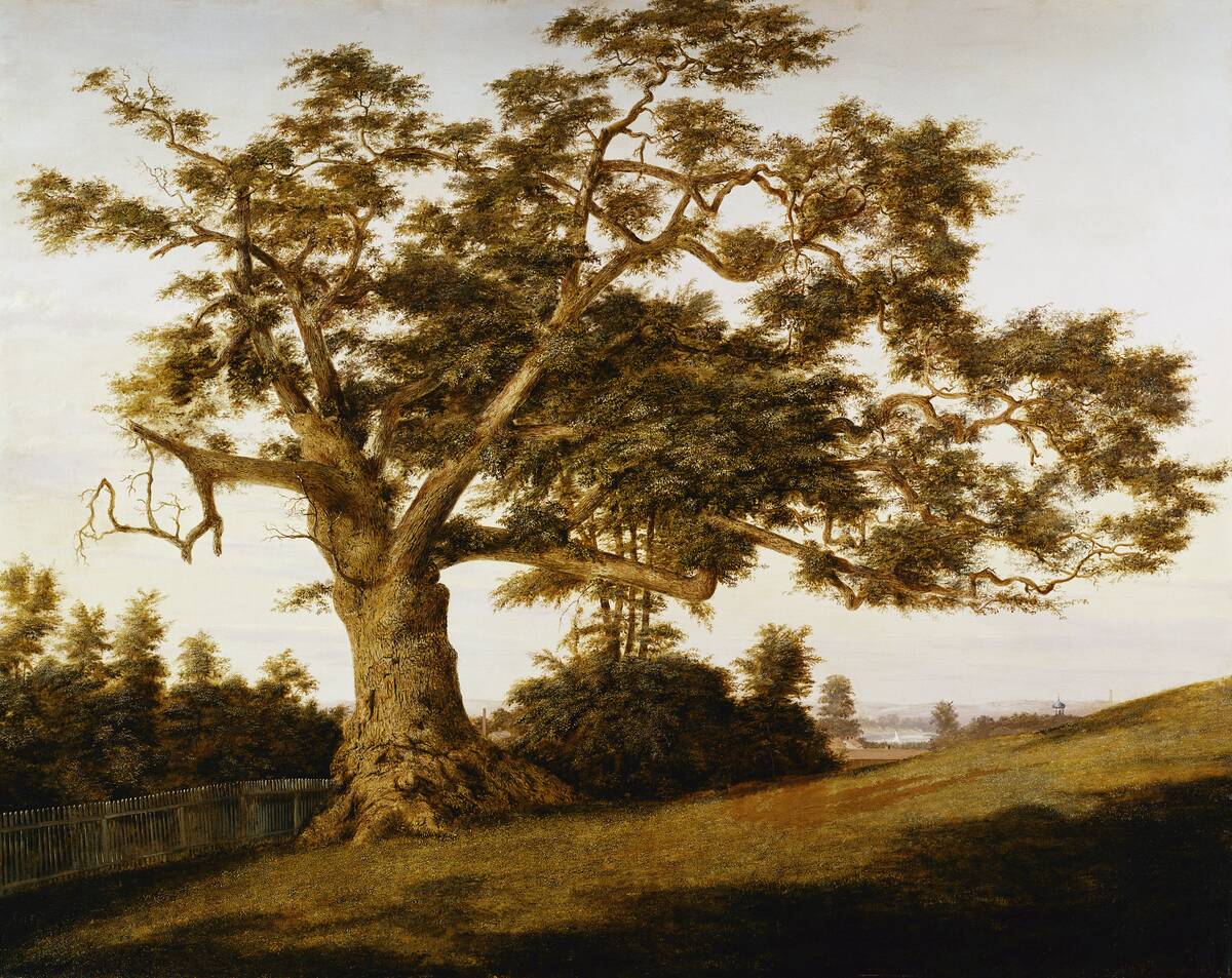 The Charter Oak by Charles de Wolfe Brownell