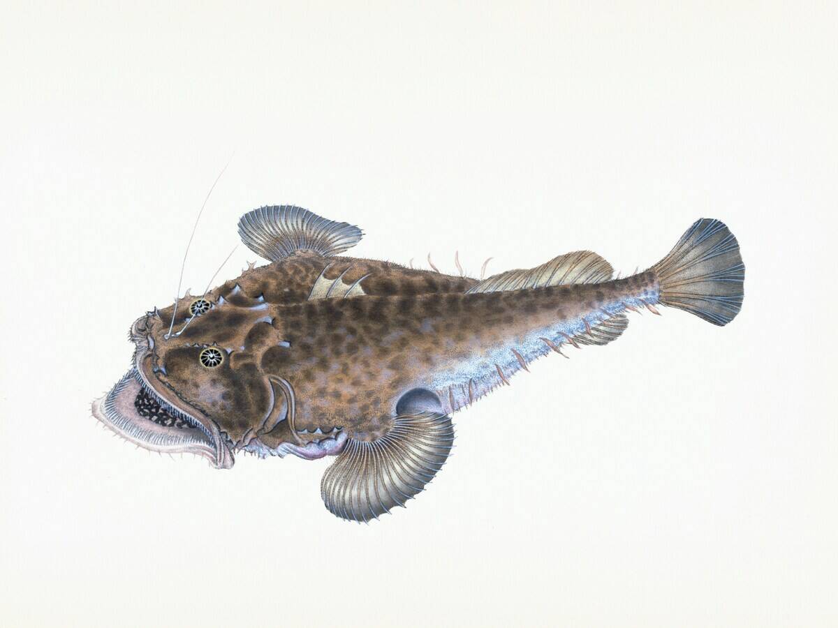 the-new-york-public-library-4K-S9OBCXoI-unsplash