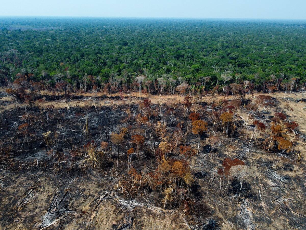TOPSHOT-BRAZIL-ENVIRONMENT-AMAZON-DEFORESTATION