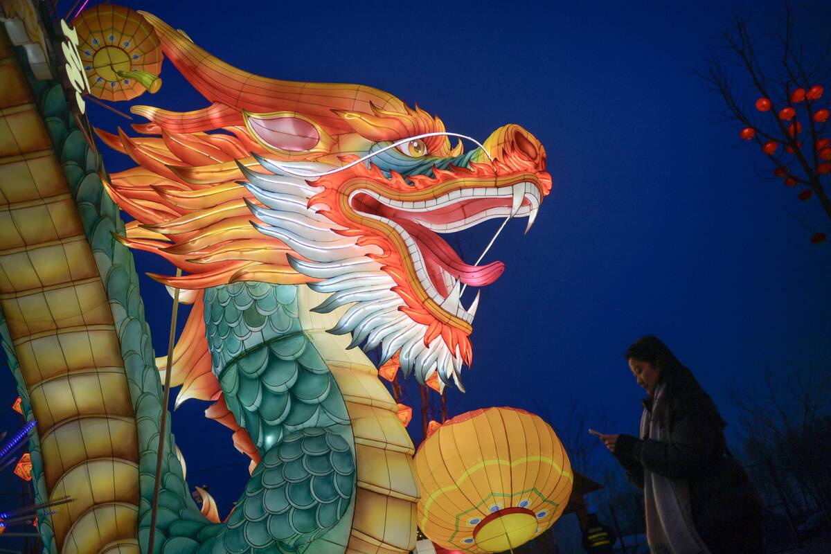 TOPSHOT-CHINA-LUNAR-NEW YEAR