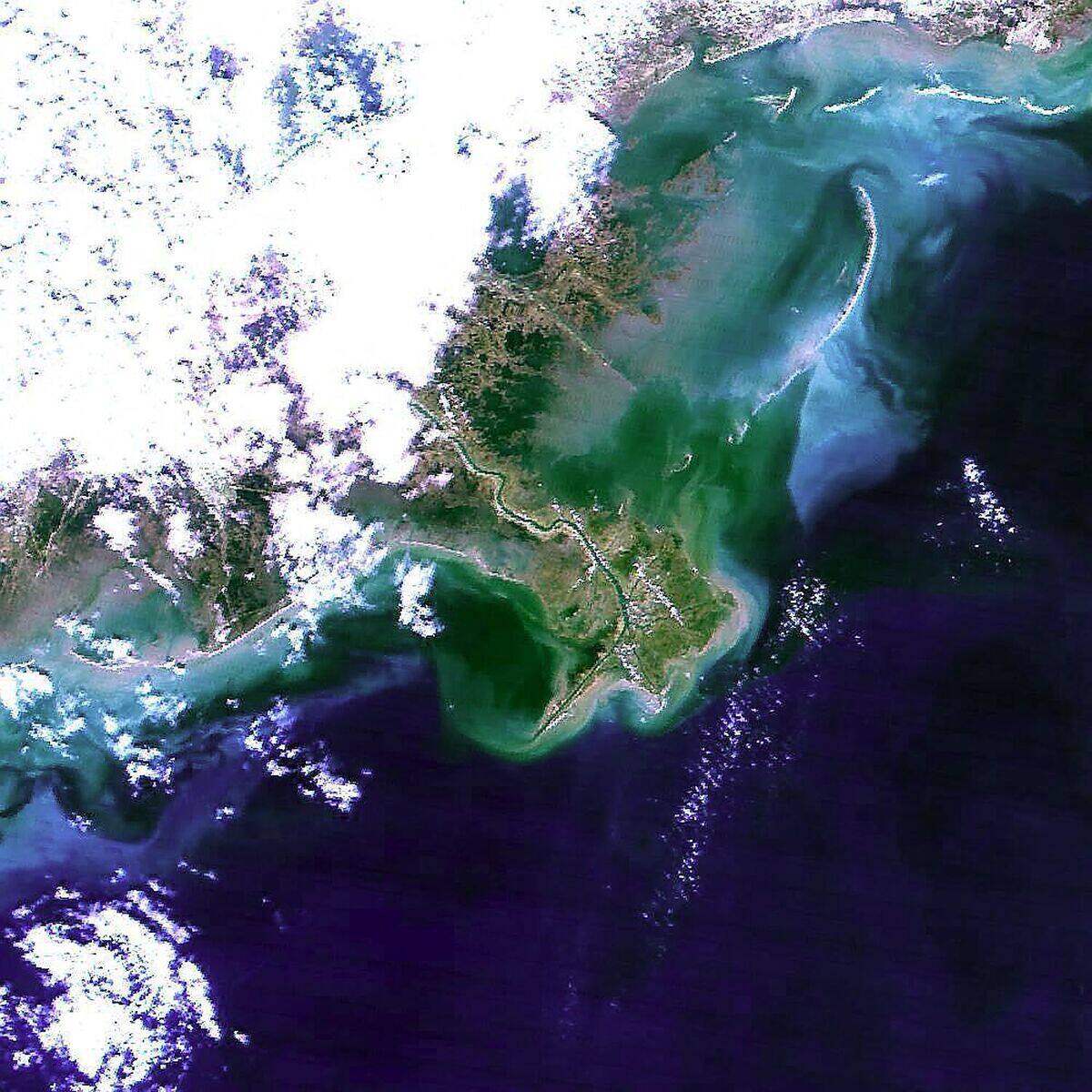 US-TERRA-MISSISSIPPI DELTA