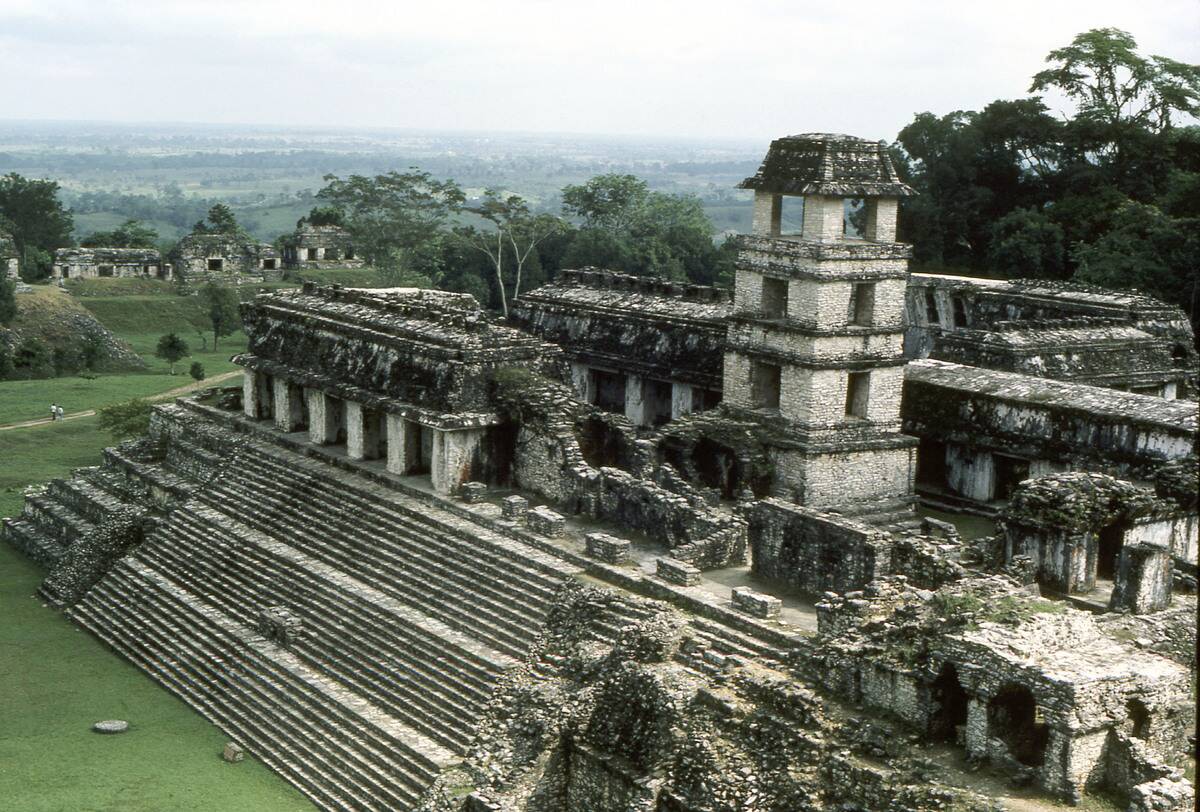 View of the watchtower and the "Great Palace" at Palenque