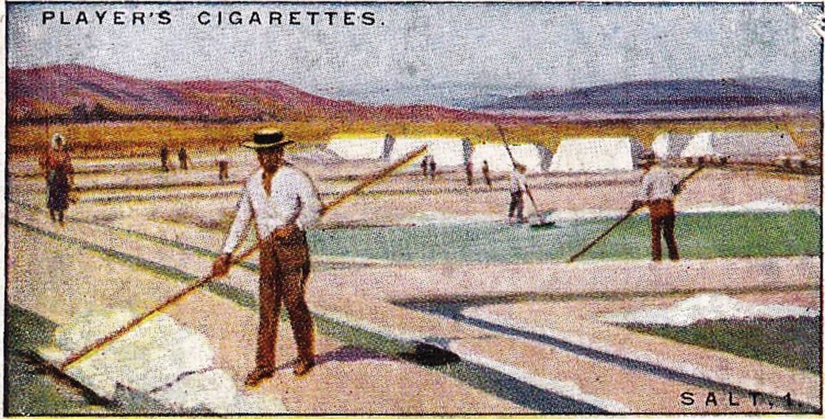 Vintage tobacco card, Salt Industry, Portugal, Products of the World series, Player's Cigarettes, 1928