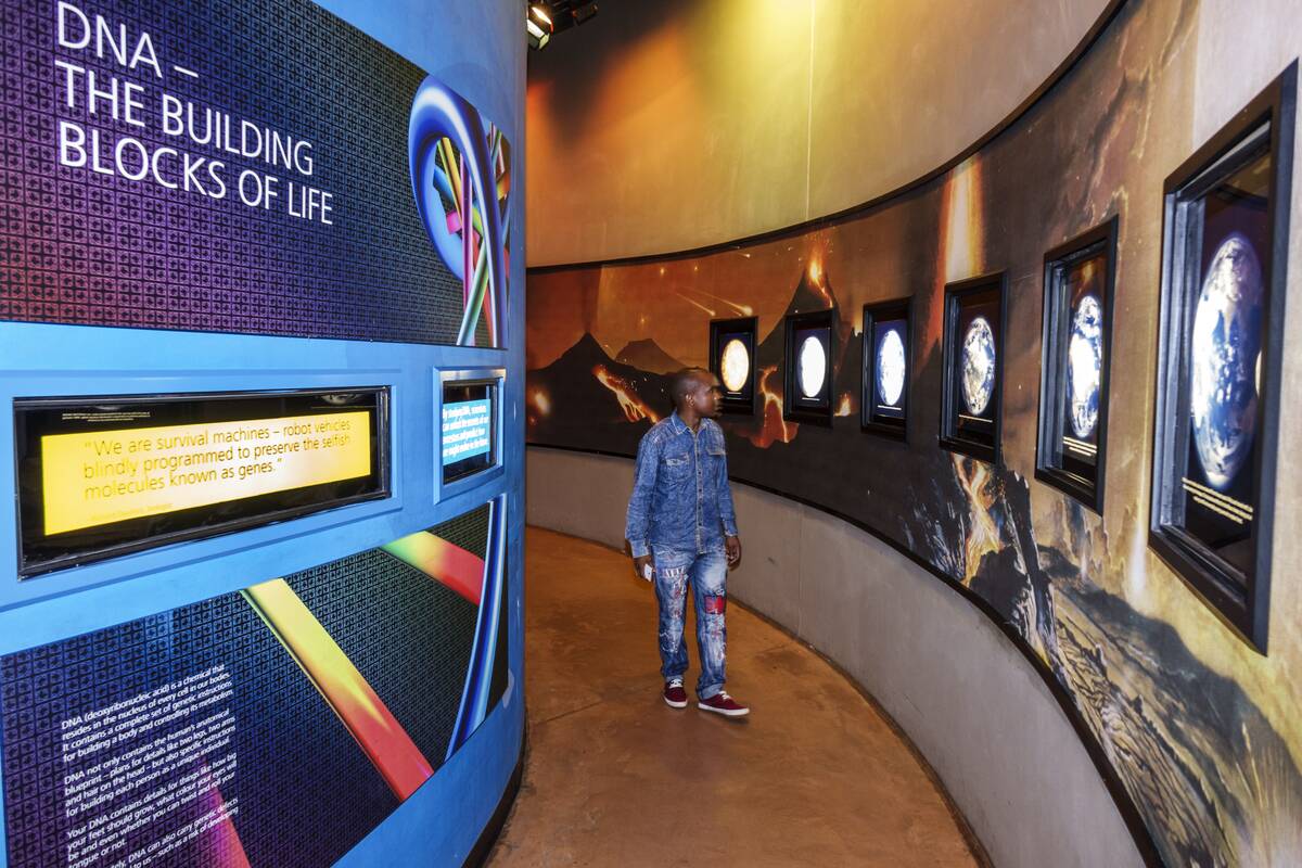 Visitors center, Cradle of Humankind, Tumulus Building man looking exhibit DNA