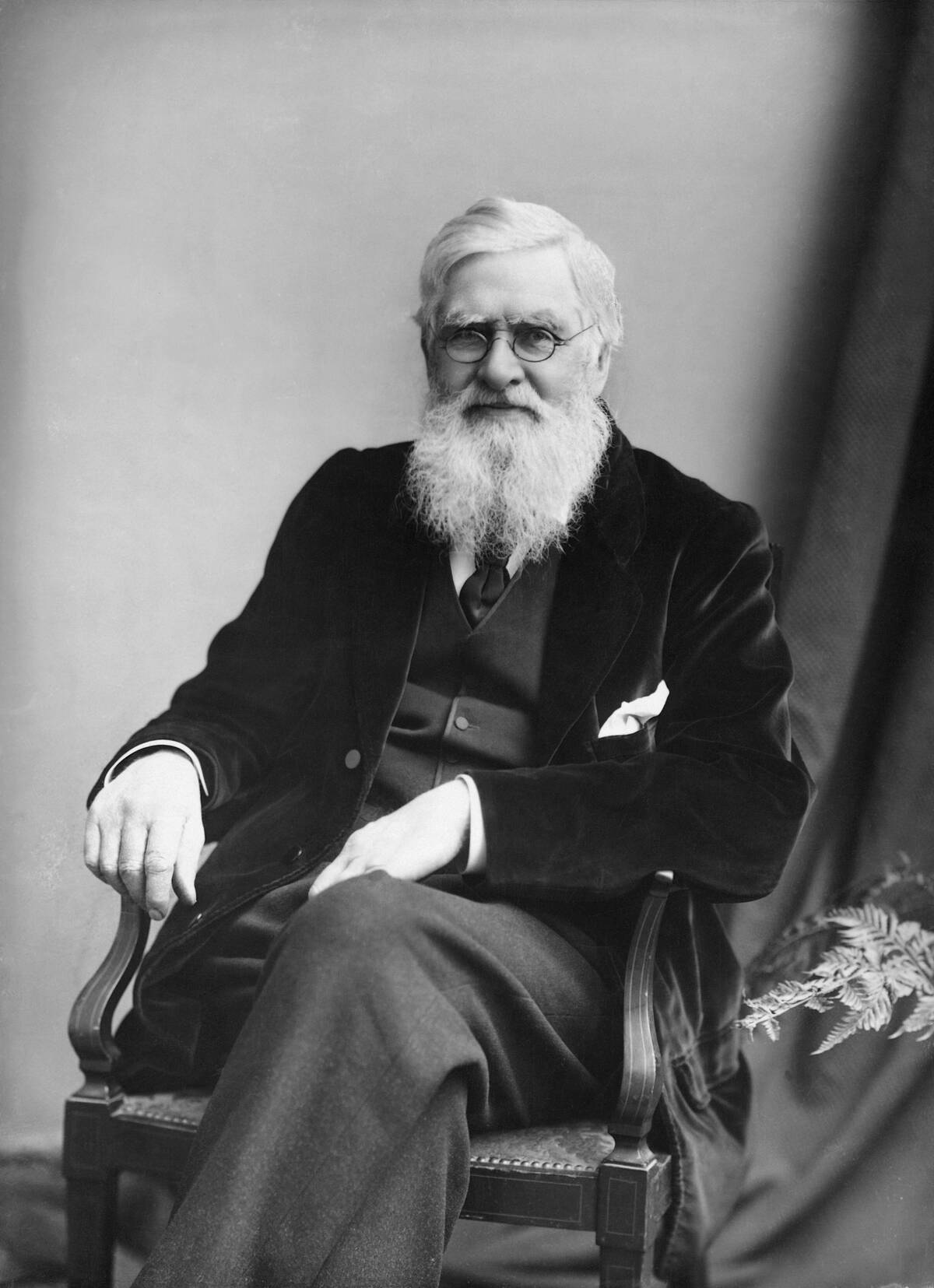 Alfred Russell Wallace