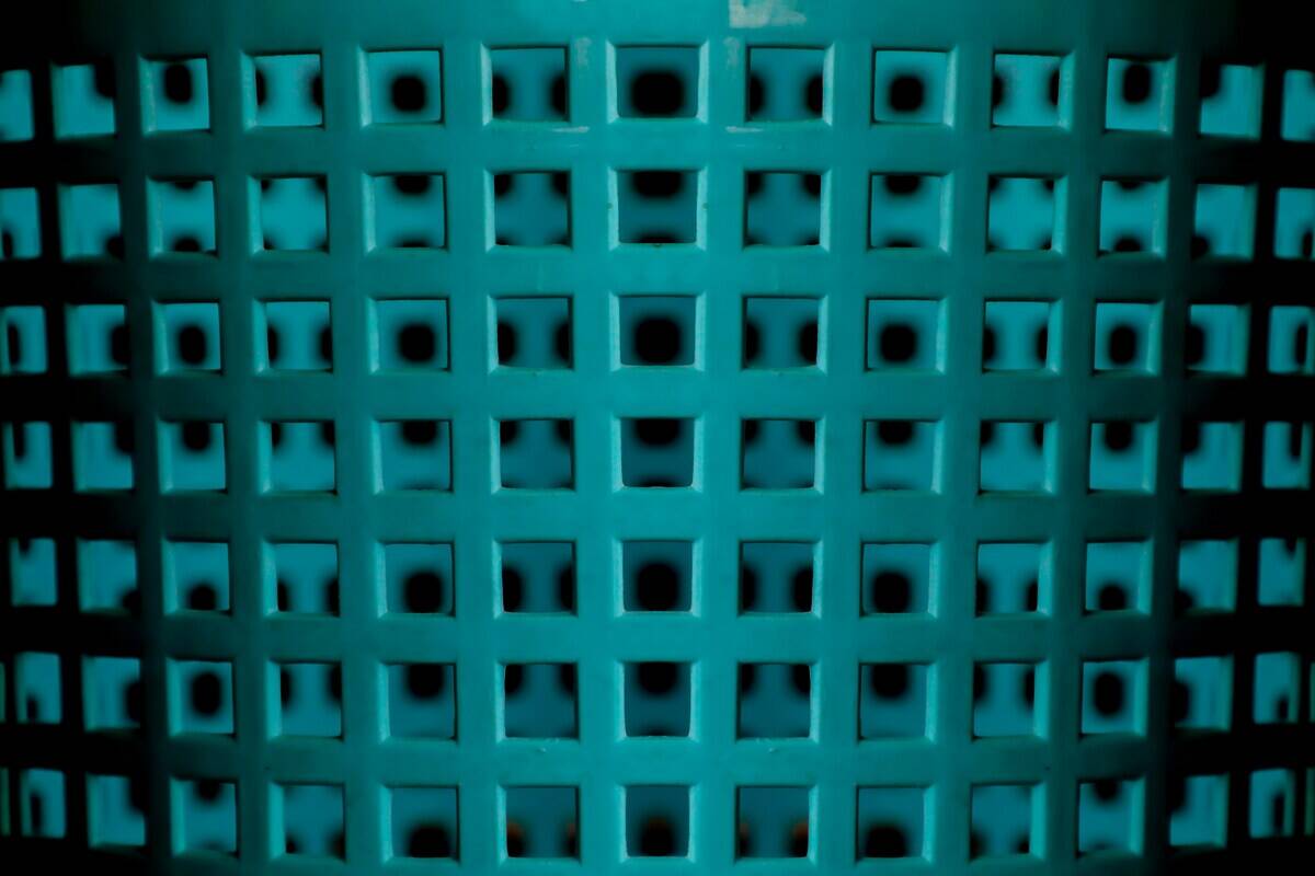 ashes-sitoula-r5Xk5z5wApw-unsplash