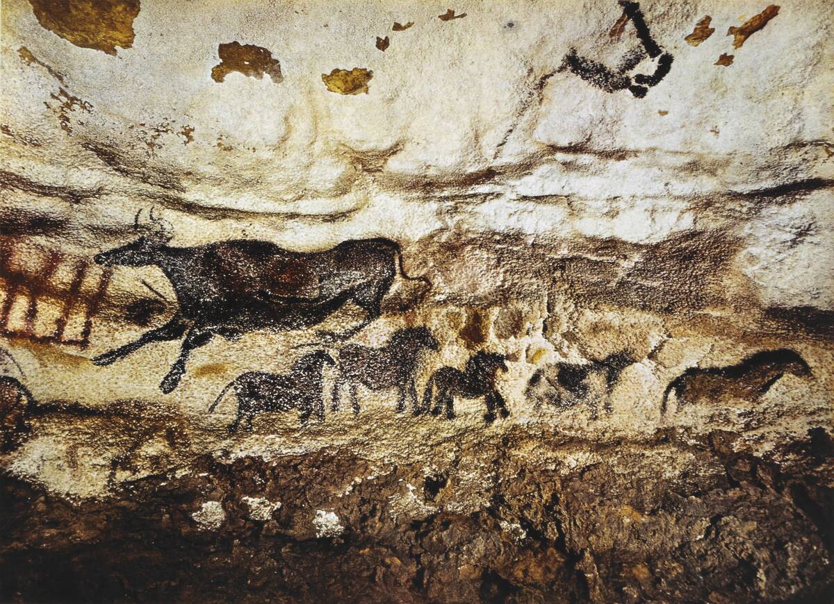 Cave Paintings Prehistoric Animals