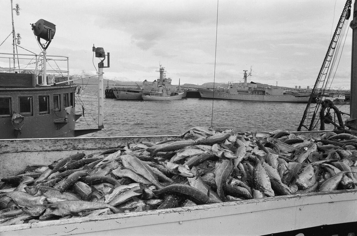 Cod Wars Feature 1972