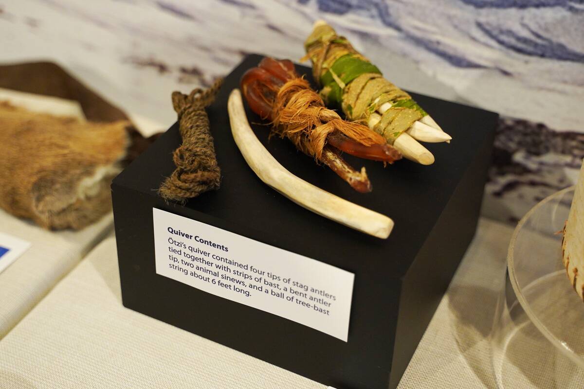 Cold Spring Harbor Laboratory Opens DNALC NYC At City Tech