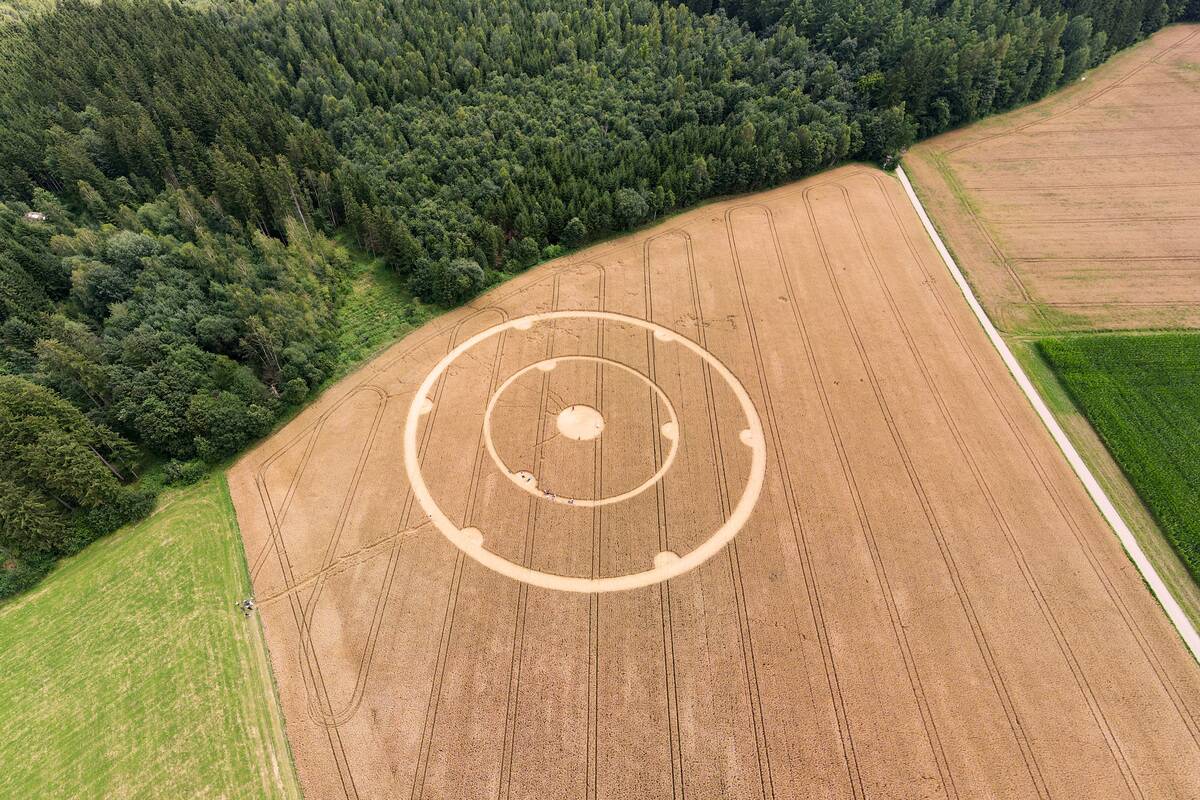 Crop circle in wheat field
