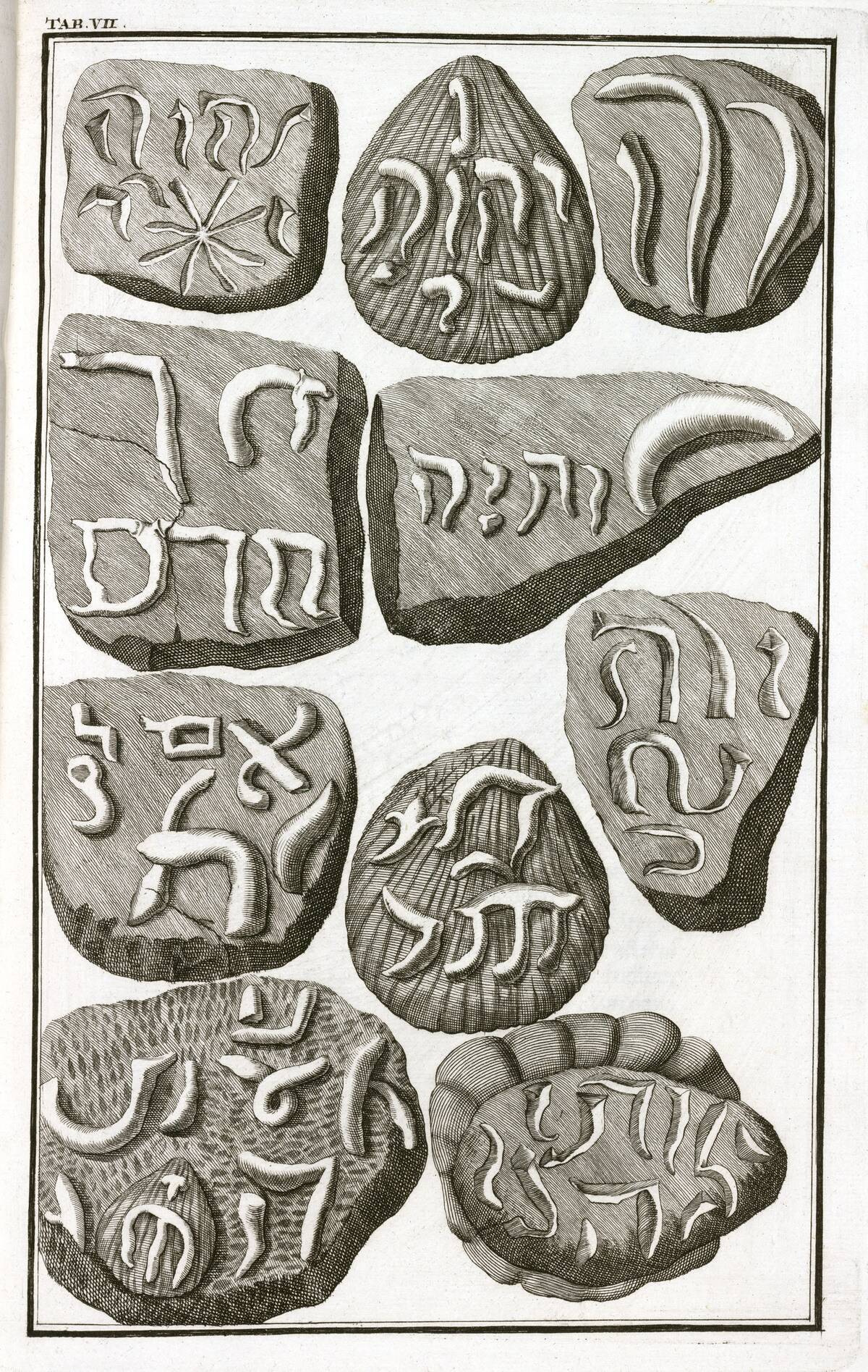 Fake fossils with Hebrew inscriptions, 1745.