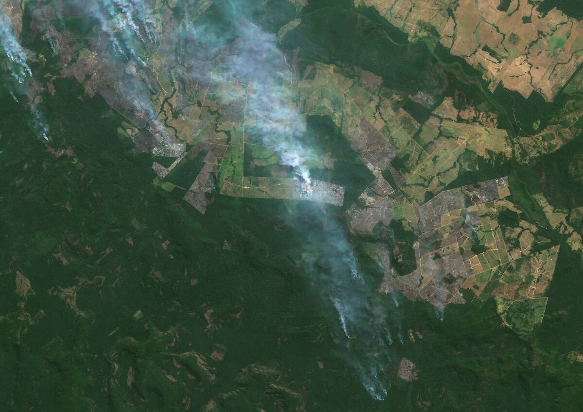 Fires in Amazonian Rainforest, Rondonia, Brazil