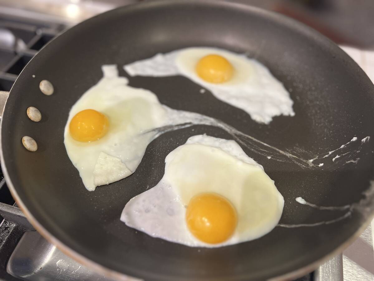 Fried Eggs Close-Up