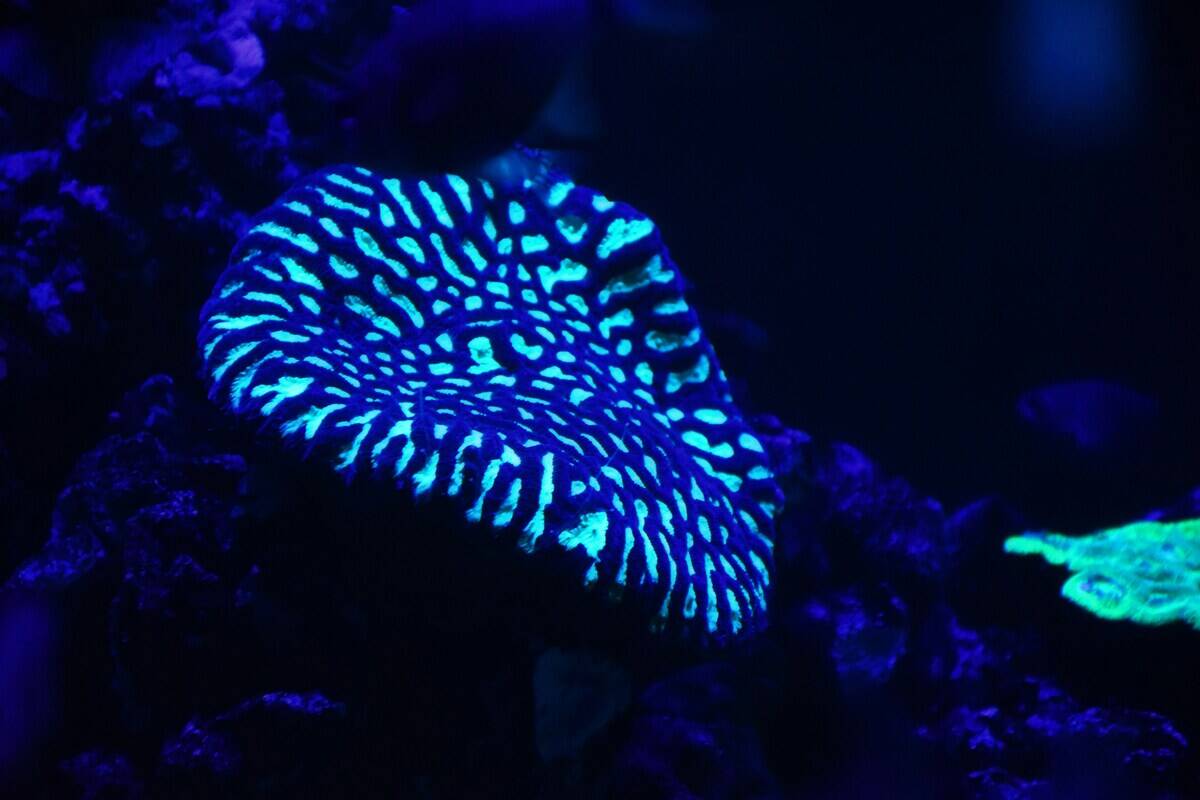 karthik-b-k-9BJQRzZbd1Q-unsplash