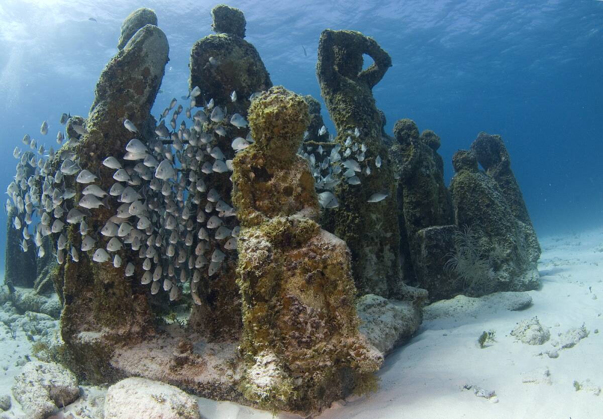 Largest underwater museum located in Cancun Mexico caribbean sea