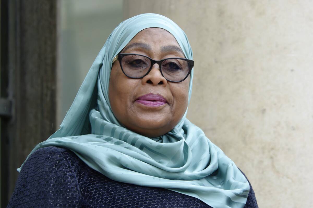 Meeting At Elysee Palace For The "Summit On Clean Cooking In Africa"