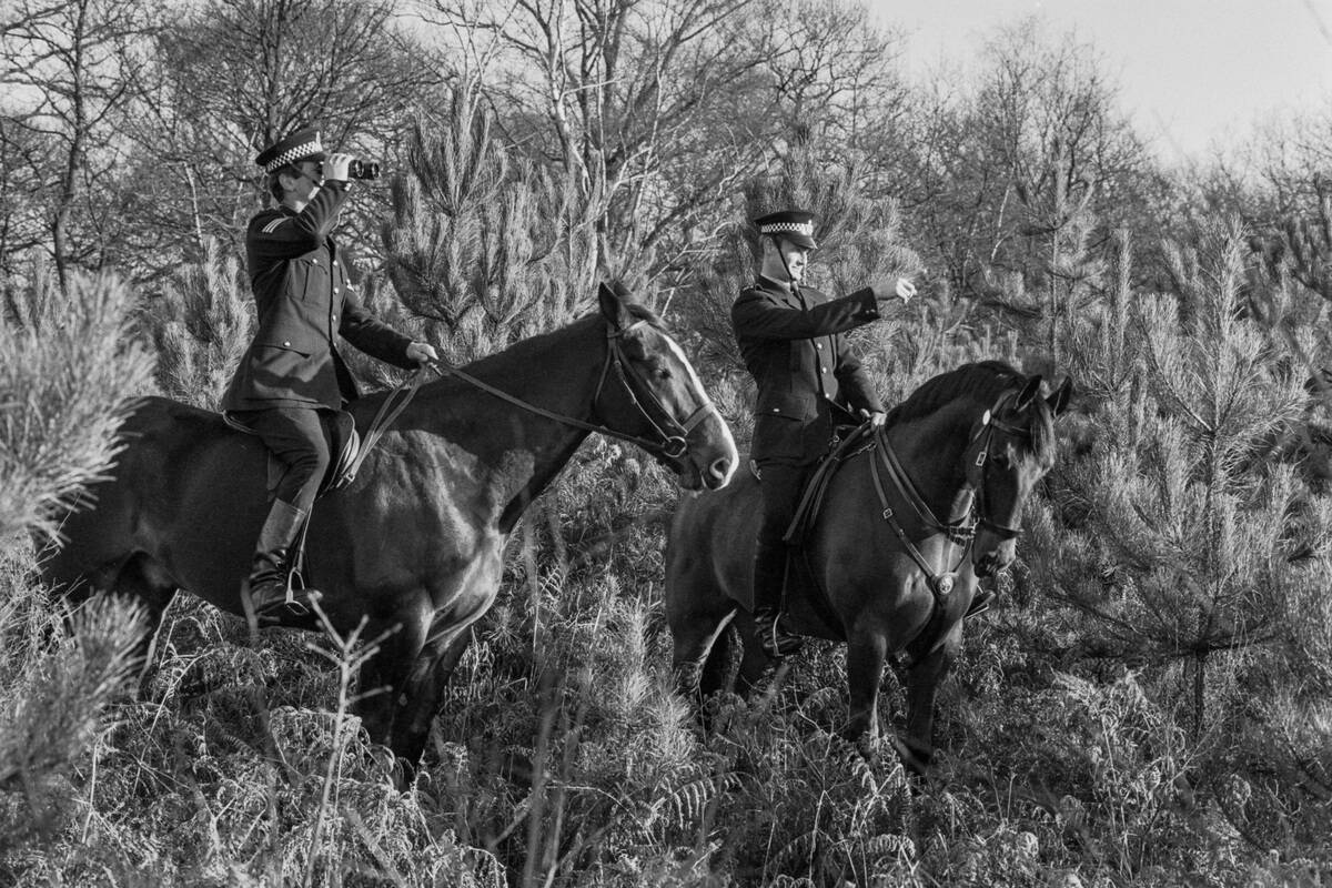 Mounted Police in Sherwood Forest