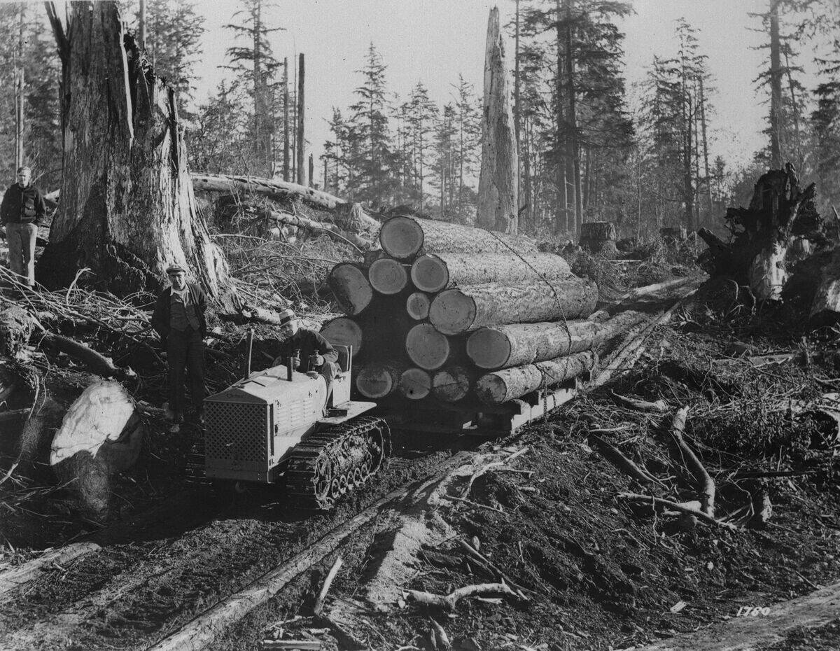 Oregon Lumber
