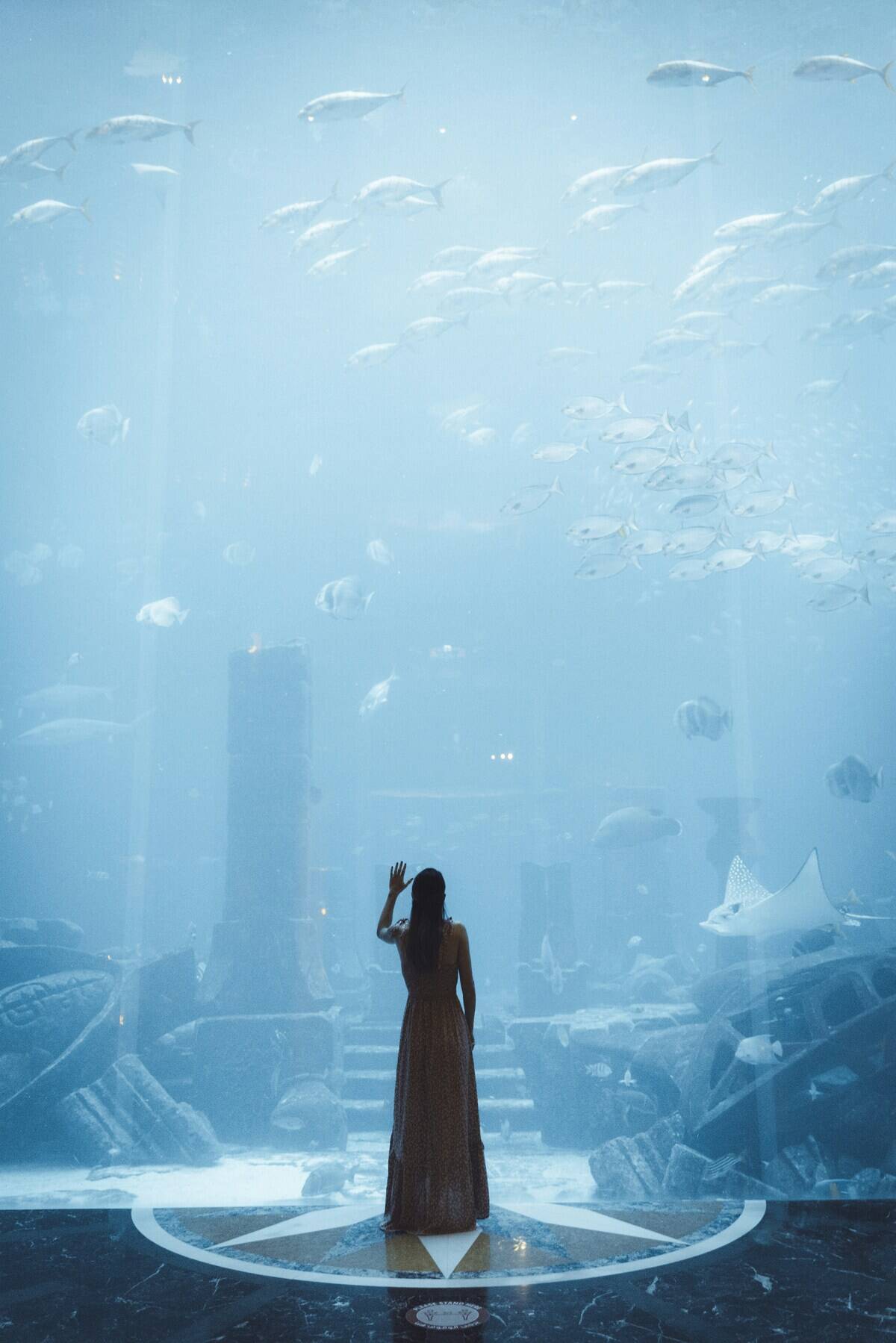 paolo-resteghini-m_9zvaAqKZI-unsplash