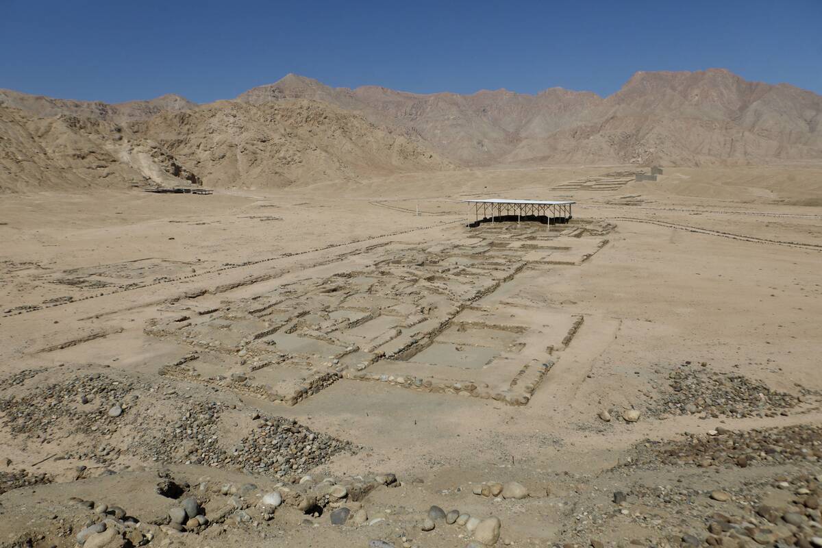 Peruvian archaeologists discover 3,800-year-old city that connected the coast, Andes, and Amazon